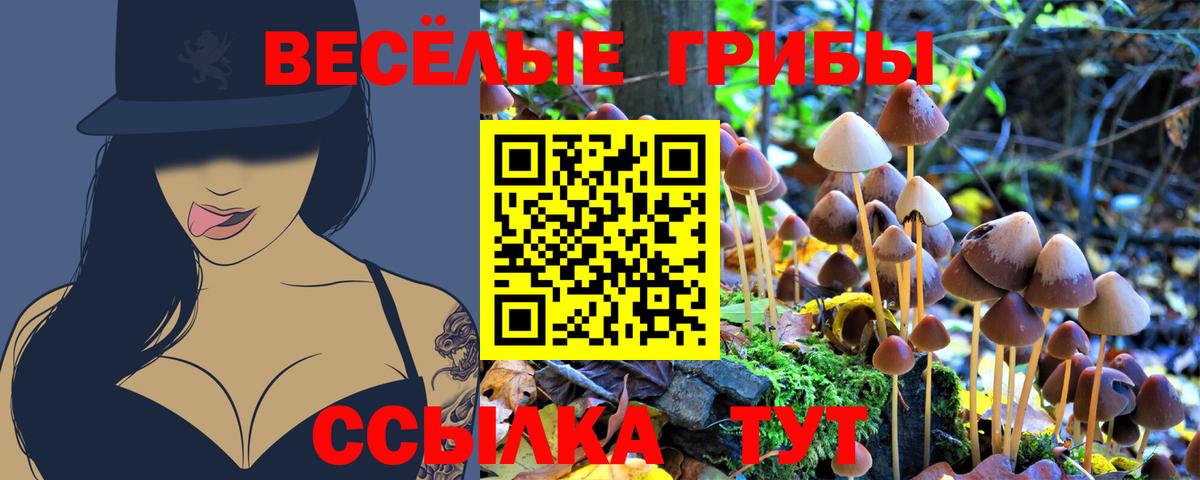 Псилоцибиновые грибы Cubensis  Вход с VPN  Псилоцибиновые грибы мицелий  Петропавловск-Камчатский 